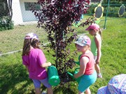 Letní den ve školce